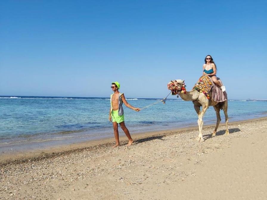 Lazuli Hotel, Marsa Alam El Qoseir 외부 사진